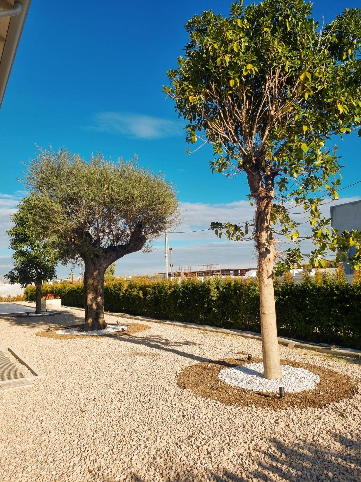 Ro Agrimaison Volla (Naples) Exterior foto